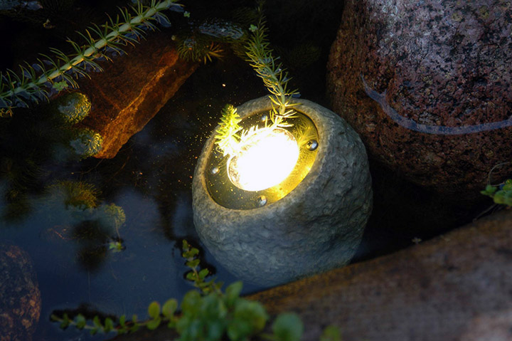 Lovely Garden Lights